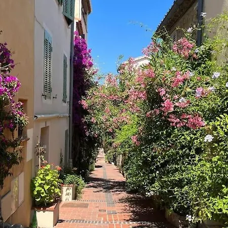 Strelizia - New Old For 4 Ac *