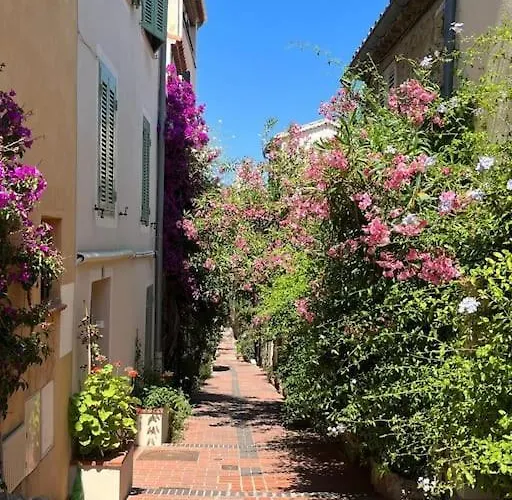 Strelizia - New Old For 4 Ac *