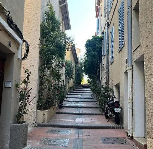 Strelizia - New Old For 4 Ac