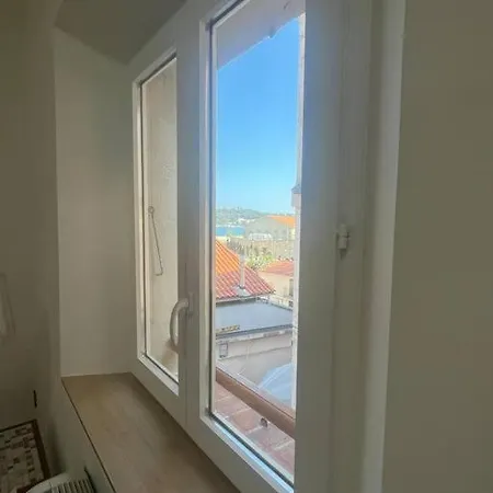 Strelizia - New Old For 4 Ac